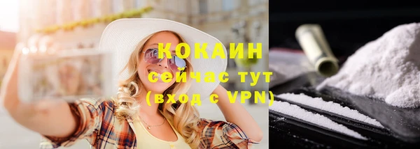 твердый Куйбышев