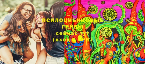 дживик Кулебаки