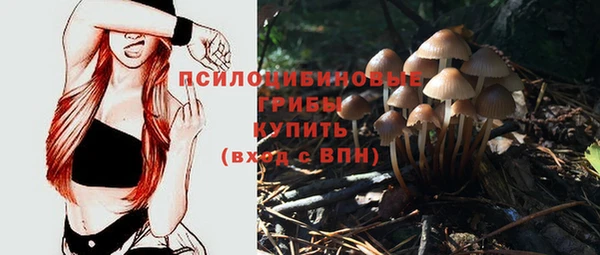apvp Кукмор