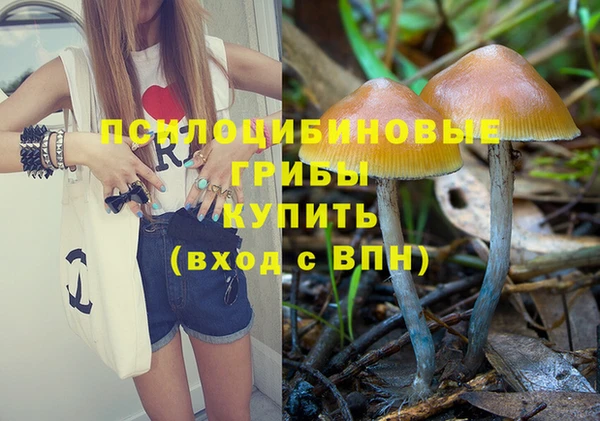 apvp Кукмор