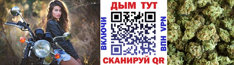 наркота  Нарьян-Мар  Каннабис OG Kush 